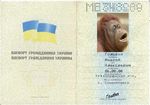 Выезд из РФ по паспорту Украины Выезд из РФ по паспорту Украины