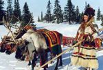 Пенсия прослужившим в районах Крайнего Севера при смене места жительства Пенсия прослужившим в районах Крайнего Севера при смене места жительства