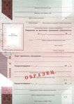 Получение пенсии при оформлении ВНЖ, установление недееспособности Получение пенсии при оформлении ВНЖ, установление недееспособности