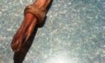 Рождение ребенка в России у граждан КНР Рождение ребенка в России у граждан КНР