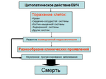 Выезд из РФ и возвращение в Россию при выявлении ВИЧ-инфекции Выезд из РФ и возвращение в Россию при выявлении ВИЧ-инфекции